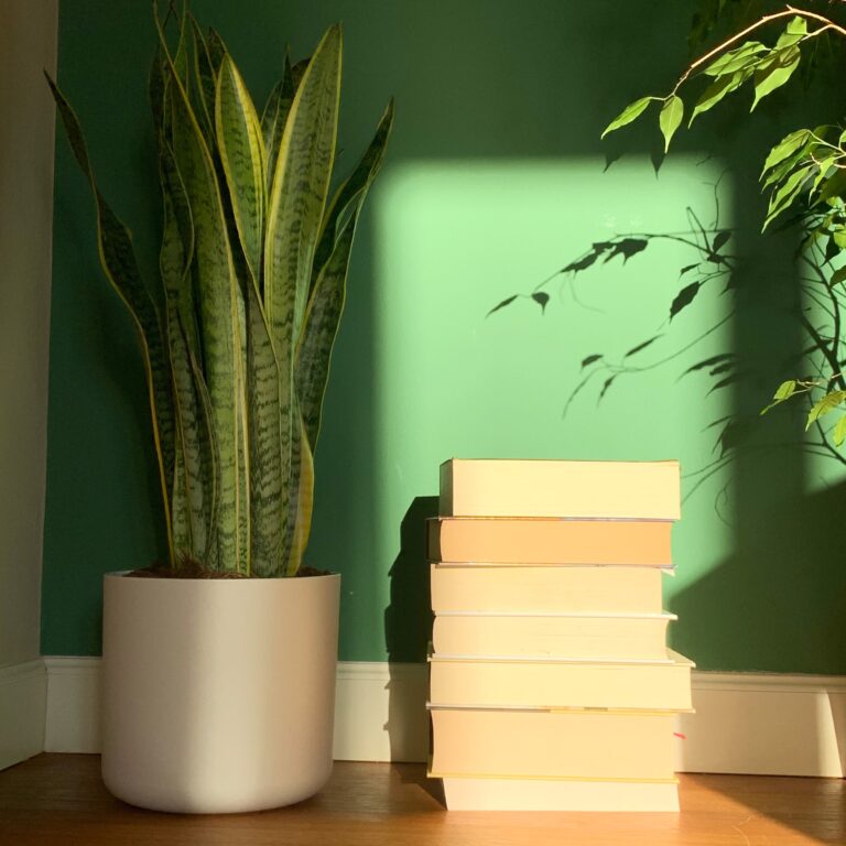 Il significato del colore verde.