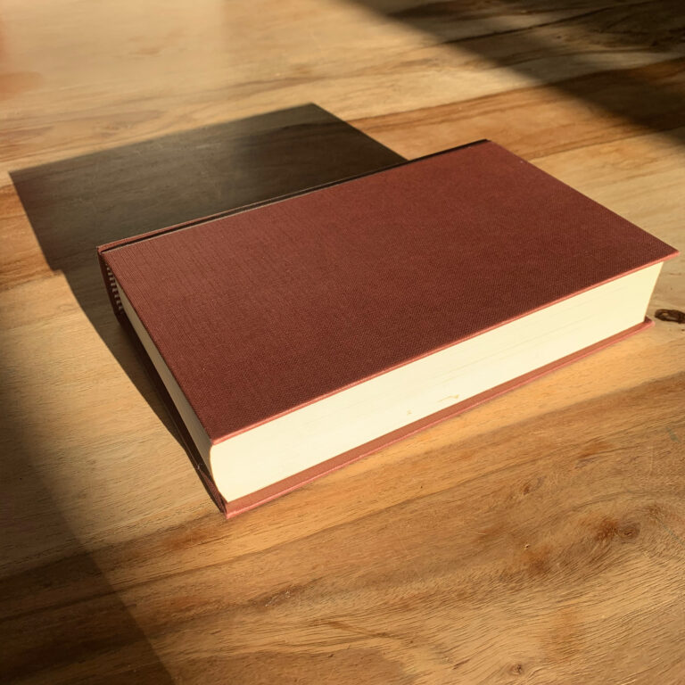 Hai iniziato a scrivere il tuo romanzo in isolamento? Ricordati che non sei solo!