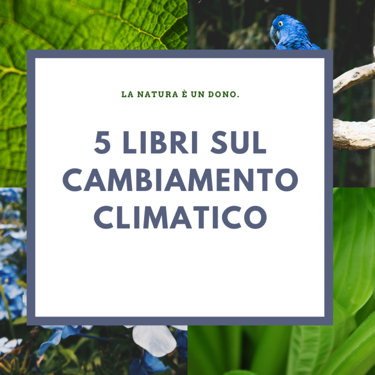 5 Libri sul cambiamento climatico